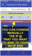 Fast Dynamic DNS Updater screenshot 2