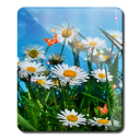 Spring and Summer HD LWP 7 Icon