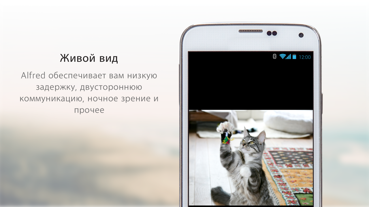 Alfred Видеонаблюдение камера - Загрузить APK для Android | Aptoide