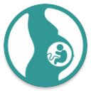 Pregnancy Wheel Icon