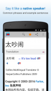 Chinese Dictionary screenshot 6