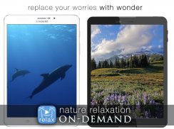 Nature Relaxation™ On-Demand screenshot 8