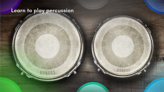 Congas & Bongos: percussions screenshot 1