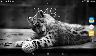 Snow Leopard Live Wallpaper screenshot 6