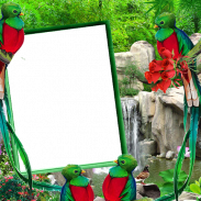 Quetzal Insta DP screenshot 1