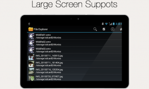 File Explorer e manager screenshot 0