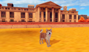 Akita Dog Simulator screenshot 3