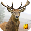 Deer Hunting 3D Shooter Sniper Icon