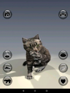 Falando gato Realidade screenshot 3