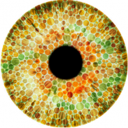 Colour Blindness Detector screenshot 7