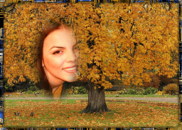 Autumn Flower Photo Frames screenshot 0