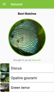 NatureAi: Nature Identification - Nature Scanner screenshot 3