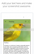 Canary screenshot 3