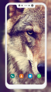 Wolf Wallpaper screenshot 2