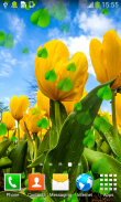 tulipas Live Wallpapers screenshot 5