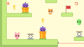 Online Cats 2 – Animal Park screenshot 13