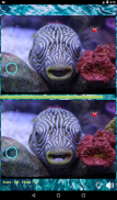 Find the differences: Sea Creatures screenshot 4