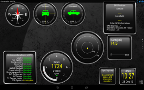 Torque Pro (OBD2 / Carro) screenshot 14