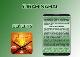 Surah Nahl screenshot 0