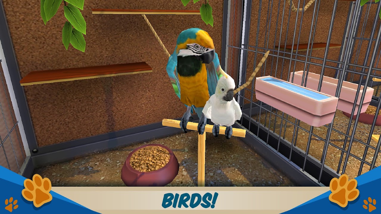 Pet world clearance birds