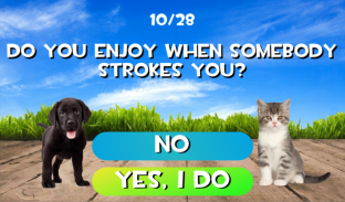 Test what cat or dog am I? Animal simulator screenshot 3