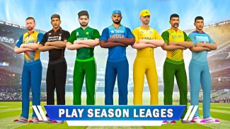 World Cricket Match Game screenshot 4