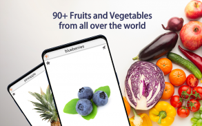 Fruits and Vegetables screenshot 1