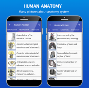 Gray's Anatomy - Anatomy Atlas screenshot 3