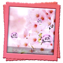 Sakura Live Wallpaper Icon