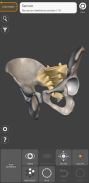 Anatomía 3D para el artista Lt screenshot 2