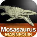 Mosasaurus Mannequin