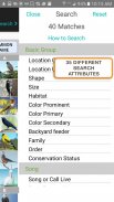 iBird Lite Free Guide to Birds screenshot 6