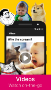 9GAG: Funny GIF, Meme & Video screenshot 2