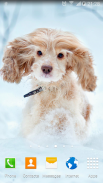 Cute Puppies Live Wallpaper screenshot 6