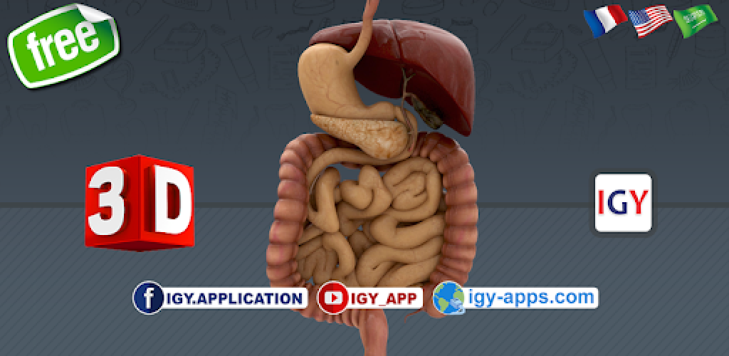 Взломанная версия anatomy