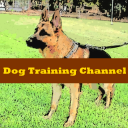 Dog Training Channel