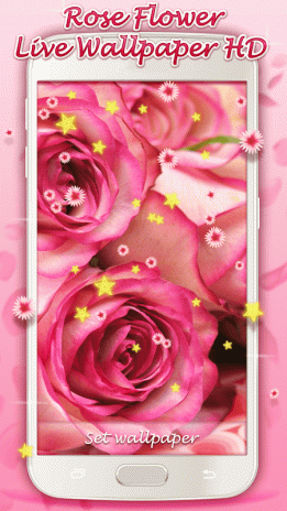 Rose Flower Live Wallpaper Hd 10 Download Apk For Android Aptoide