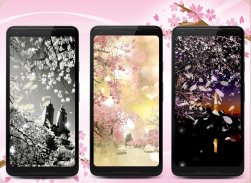 Sakura Live Wallpaper screenshot 3