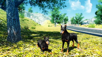 Doberman Dog Simulator screenshot 9