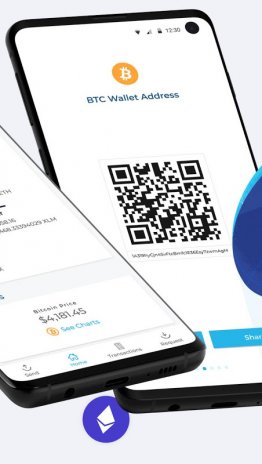 Blockchain Wallet Bitcoin Bitcoin Cash Ethereum 6 24 0 Laden Sie - 