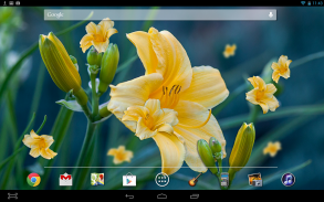 Yellow Flower LWP screenshot 2