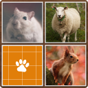 Memory - Animals Icon