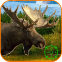 Moose Hunting Calls