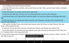Biblia alemana screenshot 1