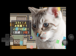 猫飼いシミュレーション screenshot 2