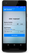 UDP Terminal screenshot 0