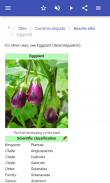 Verduras screenshot 6