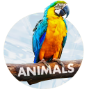 Wallpapers with Animals in 4K Icon