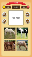 Horse Coat Colors Quiz screenshot 11