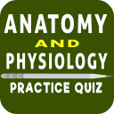 Anatomy And Physiology